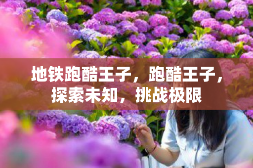 地铁跑酷王子,跑酷王子,探索未知,挑战极限 地铁跑酷王子,跑酷王子,探索未知,挑战极限