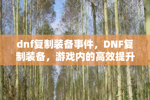 dnf复制装备事件，DNF复制装备，游戏内的高效提升与风险分析