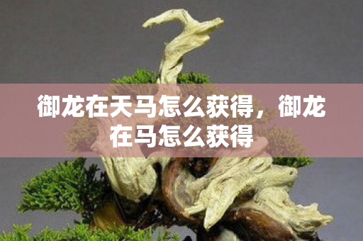 御龙在天马怎么获得,御龙在马怎么获得 御龙在天马怎么获得,御龙在马怎么获得
