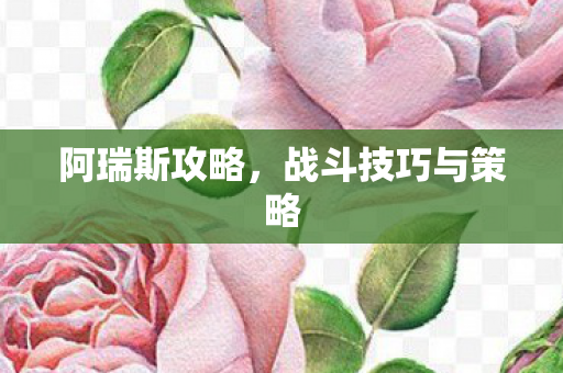 阿瑞斯攻略,战斗技巧与策略 阿瑞斯攻略,战斗技巧与策略