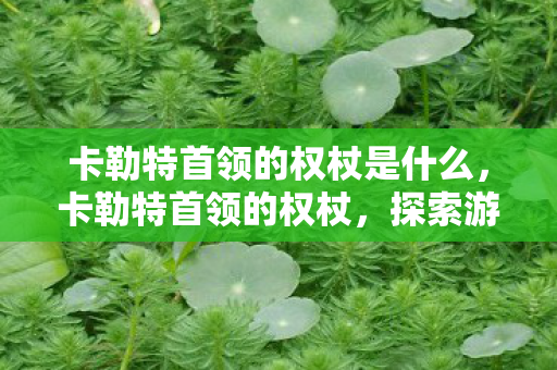 卡勒特首领的权杖是什么，卡勒特首领的权杖，探索游戏中的神秘象征