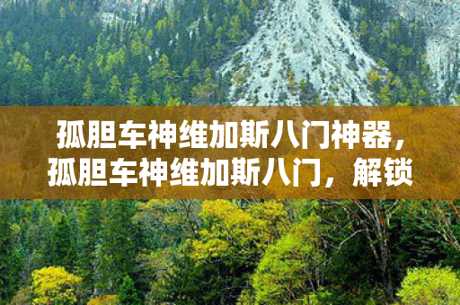 孤胆车神维加斯八门神器，孤胆车神维加斯八门，解锁无限可能的秘籍