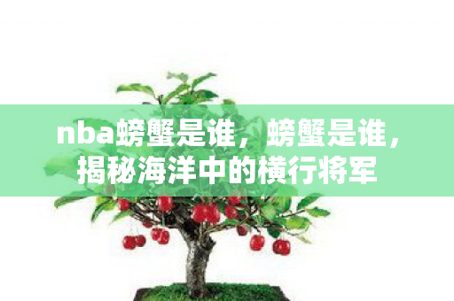 nba螃蟹是谁,螃蟹是谁,揭秘海洋中的横行将军 nba螃蟹是谁,螃蟹是谁,揭秘海洋中的横行将军