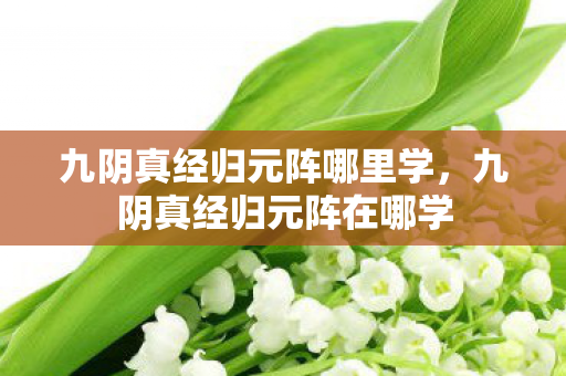 九阴真经归元阵哪里学,九阴真经归元阵在哪学 九阴真经归元阵哪里学,九阴真经归元阵在哪学