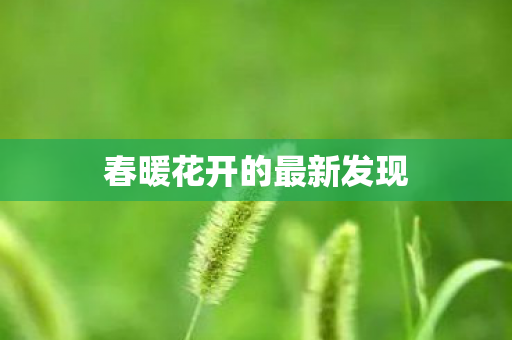 春暖花开的最新发现 春暖花开的最新发现