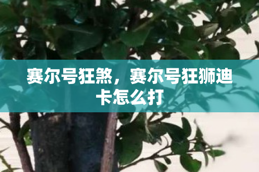 赛尔号狂煞，赛尔号狂狮迪卡怎么打