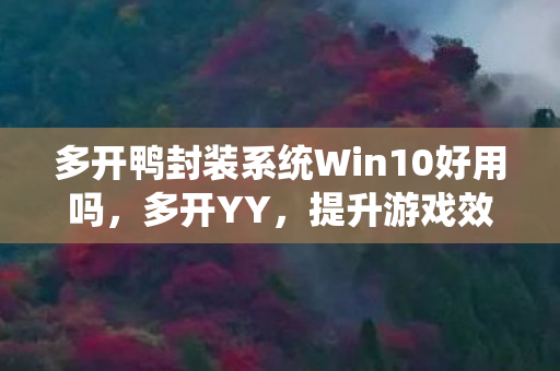 多开鸭封装系统Win10好用吗,多开YY,提升游戏效率与体验的艺术 多开鸭封装系统Win10好用吗,多开YY,提升游戏效率与体验的艺术
