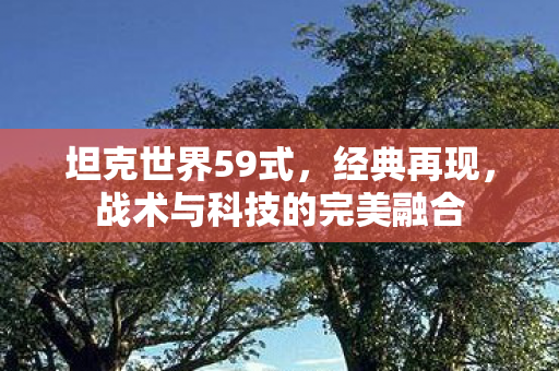 坦克世界59式,经典再现,战术与科技的完美融合 坦克世界59式,经典再现,战术与科技的完美融合
