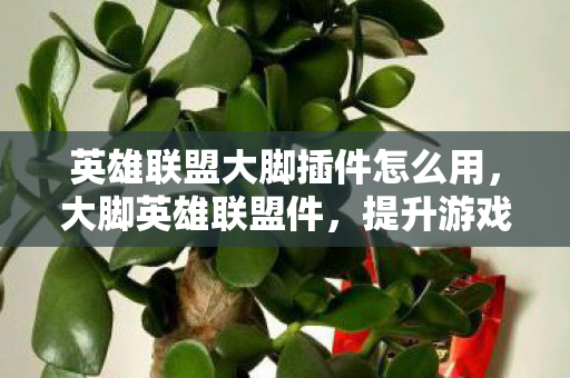英雄联盟大脚插件怎么用,大脚英雄联盟件,提升游戏体验的神奇工具 英雄联盟大脚插件怎么用,大脚英雄联盟件,提升游戏体验的神奇工具