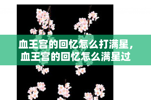 血王宫的回忆怎么打满星，血王宫的回忆怎么满星过