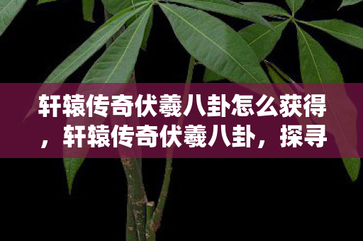 轩辕传奇伏羲八卦怎么获得,轩辕传奇伏羲八卦,探寻古老智慧的现代演绎 轩辕传奇伏羲八卦怎么获得,轩辕传奇伏羲八卦,探寻古老智慧的现代演绎