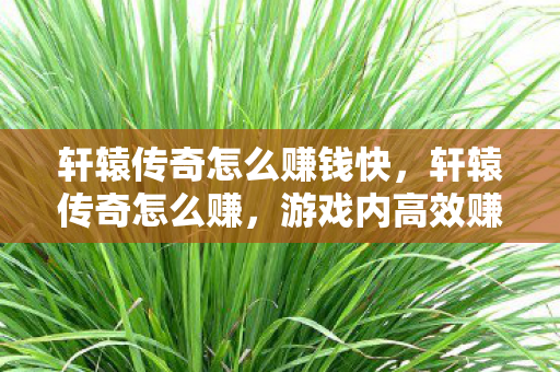 轩辕传奇怎么赚钱快,轩辕传奇怎么赚,游戏内高效赚钱攻略 轩辕传奇怎么赚钱快,轩辕传奇怎么赚,游戏内高效赚钱攻略