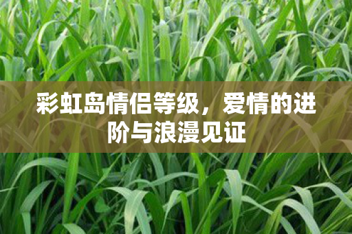 彩虹岛情侣等级,爱情的进阶与浪漫见证 彩虹岛情侣等级,爱情的进阶与浪漫见证