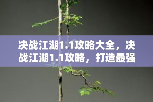 决战江湖1.1攻略大全，决战江湖1.1攻略，打造最强角色，征服江湖！