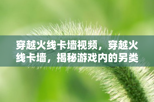 穿越火线卡墙视频,穿越火线卡墙,揭秘游戏内的另类玩法与策略 穿越火线卡墙视频,穿越火线卡墙,揭秘游戏内的另类玩法与策略
