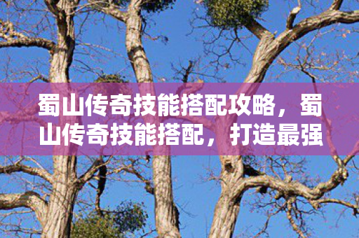 蜀山传奇技能搭配攻略,蜀山传奇技能搭配,打造最强战斗力的秘籍 蜀山传奇技能搭配攻略,蜀山传奇技能搭配,打造最强战斗力的秘籍
