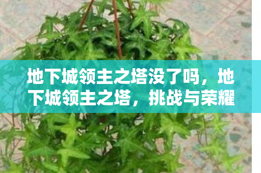 地下城领主之塔没了吗,地下城领主之塔,挑战与荣耀的终极舞台 地下城领主之塔没了吗,地下城领主之塔,挑战与荣耀的终极舞台