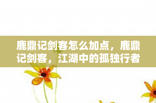 鹿鼎记剑客怎么加点,鹿鼎记剑客,江湖中的孤独行者 鹿鼎记剑客怎么加点,鹿鼎记剑客,江湖中的孤独行者