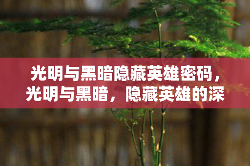 光明与黑暗隐藏英雄密码,光明与黑暗,隐藏英雄的深度探索 光明与黑暗隐藏英雄密码,光明与黑暗,隐藏英雄的深度探索