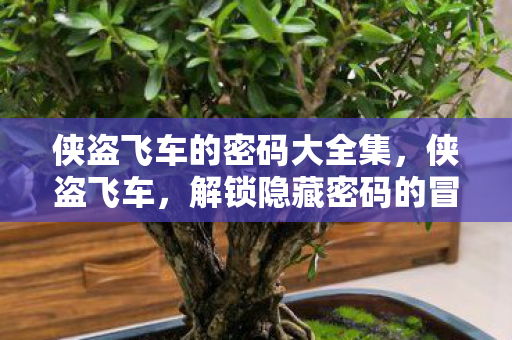 侠盗飞车的密码大全集,侠盗飞车,解锁隐藏密码的冒险之旅 侠盗飞车的密码大全集,侠盗飞车,解锁隐藏密码的冒险之旅
