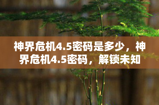 神界危机4.5密码是多少,神界危机4.5密码,解锁未知世界的神秘钥匙 神界危机4.5密码是多少,神界危机4.5密码,解锁未知世界的神秘钥匙