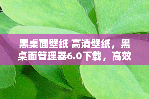 黑桌面壁纸 高清壁纸,黑桌面管理器6.0下载,高效便捷的管理工具 黑桌面壁纸 高清壁纸,黑桌面管理器6.0下载,高效便捷的管理工具