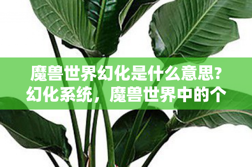 魔兽世界幻化是什么意思?幻化系统，魔兽世界中的个性化美学探索