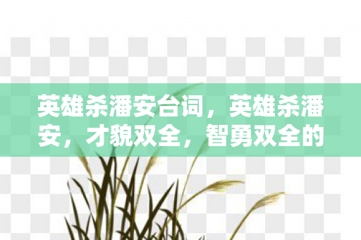 英雄杀潘安台词，英雄杀潘安，才貌双全，智勇双全的英雄传奇