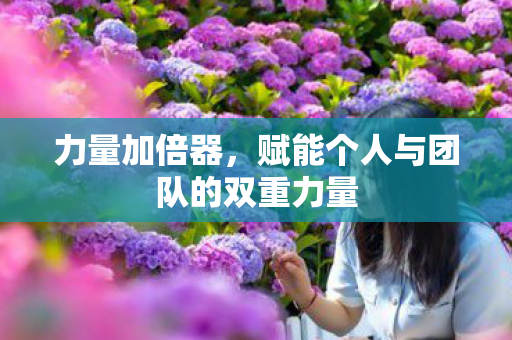 力量加倍器,赋能个人与团队的双重力量 力量加倍器,赋能个人与团队的双重力量