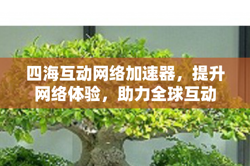 四海互动网络加速器,提升网络体验,助力全球互动 四海互动网络加速器,提升网络体验,助力全球互动