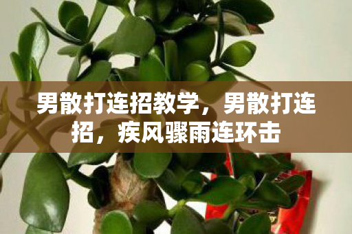 男散打连招教学,男散打连招,疾风骤雨连环击 男散打连招教学,男散打连招,疾风骤雨连环击