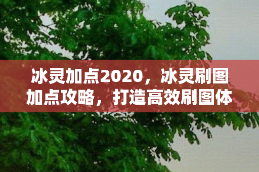 冰灵加点2020,冰灵刷图加点攻略,打造高效刷图体验 冰灵加点2020,冰灵刷图加点攻略,打造高效刷图体验