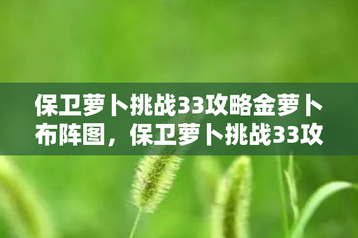 保卫萝卜挑战33攻略金萝卜布阵图,保卫萝卜挑战33攻略,策略与技巧的全面解析 保卫萝卜挑战33攻略金萝卜布阵图,保卫萝卜挑战33攻略,策略与技巧的全面解析