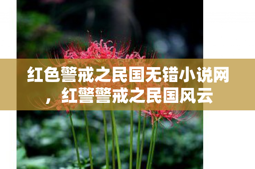 红色警戒之民国无错小说网,红警警戒之民国风云 红色警戒之民国无错小说网,红警警戒之民国风云
