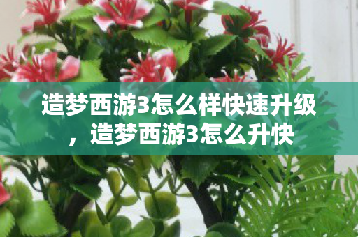 造梦西游3怎么样快速升级,造梦西游3怎么升快 造梦西游3怎么样快速升级,造梦西游3怎么升快