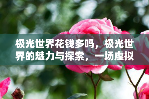 极光世界花钱多吗,极光世界的魅力与探索,一场虚拟世界的奇幻之旅 极光世界花钱多吗,极光世界的魅力与探索,一场虚拟世界的奇幻之旅