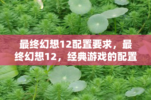 最终幻想12配置要求,最终幻想12,经典游戏的配置需求与体验优化 最终幻想12配置要求,最终幻想12,经典游戏的配置需求与体验优化