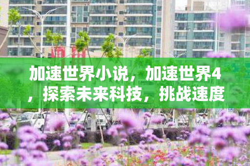 加速世界小说，加速世界4，探索未来科技，挑战速度极限