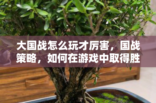 大国战怎么玩才厉害,国战策略,如何在游戏中取得胜利 大国战怎么玩才厉害,国战策略,如何在游戏中取得胜利