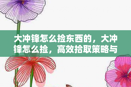 大冲锋怎么捡东西的,大冲锋怎么捡,高效拾取策略与技巧 大冲锋怎么捡东西的,大冲锋怎么捡,高效拾取策略与技巧
