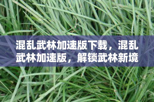 混乱武林加速版下载,混乱武林加速版,解锁武林新境界,体验极致战斗快感 混乱武林加速版下载,混乱武林加速版,解锁武林新境界,体验极致战斗快感