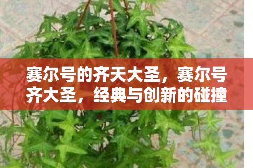 赛尔号的齐天大圣,赛尔号齐大圣,经典与创新的碰撞 赛尔号的齐天大圣,赛尔号齐大圣,经典与创新的碰撞