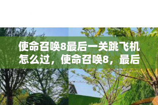 使命召唤8最后一关跳飞机怎么过，使命召唤8，最后一关的血与荣耀