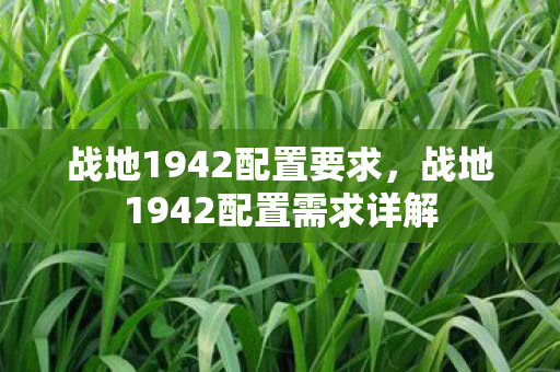 战地1942配置要求,战地1942配置需求详解 战地1942配置要求,战地1942配置需求详解