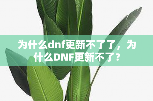 为什么dnf更新不了了,为什么DNF更新不了? 为什么dnf更新不了了,为什么DNF更新不了?
