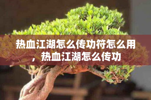 热血江湖怎么传功符怎么用,热血江湖怎么传功 热血江湖怎么传功符怎么用,热血江湖怎么传功