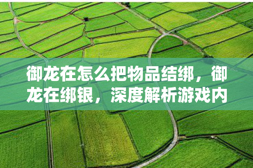 御龙在怎么把物品结绑,御龙在绑银,深度解析游戏内经济系统 御龙在怎么把物品结绑,御龙在绑银,深度解析游戏内经济系统