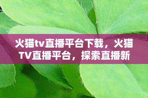 火猫tv直播平台下载,火猫TV直播平台,探索直播新世界的无限可能 火猫tv直播平台下载,火猫TV直播平台,探索直播新世界的无限可能