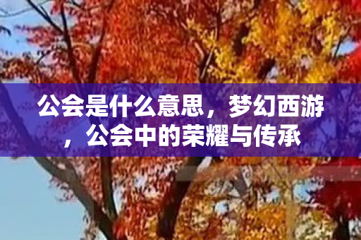 公会是什么意思,梦幻西游,公会中的荣耀与传承 公会是什么意思,梦幻西游,公会中的荣耀与传承