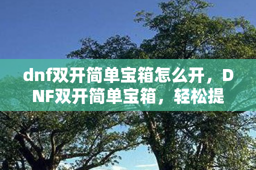 dnf双开简单宝箱怎么开,DNF双开简单宝箱,轻松提升游戏效率与收益 dnf双开简单宝箱怎么开,DNF双开简单宝箱,轻松提升游戏效率与收益